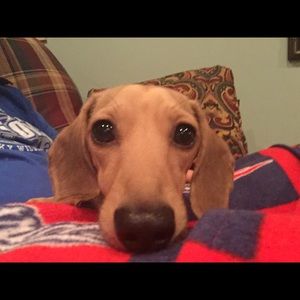 Meet your Posher, Beth